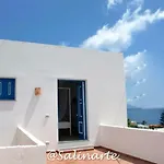 Salinarte