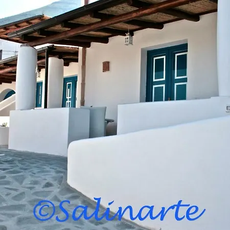 Salinarte 3*