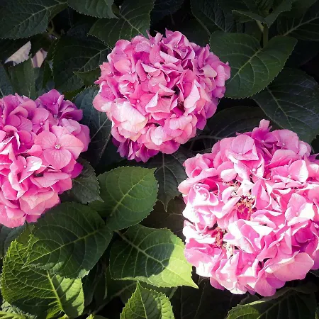 Salinarte Santa Marina Salina